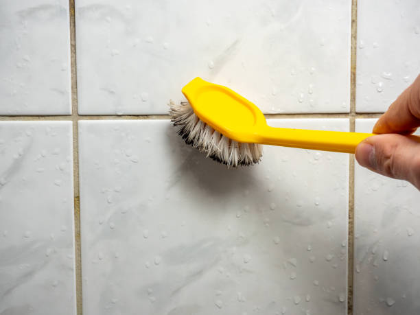 Best Mold Damage Repair  in Wortham, TX