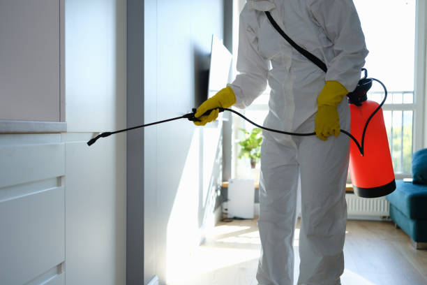 Best Mold Cleaning Services  in Wortham, TX