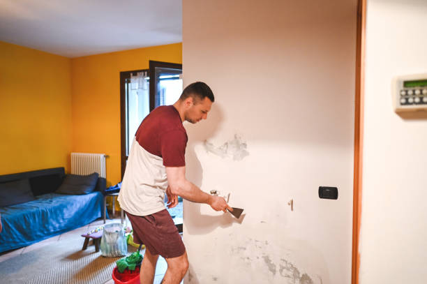 Best Same-Day Mold Removal  in Wortham, TX