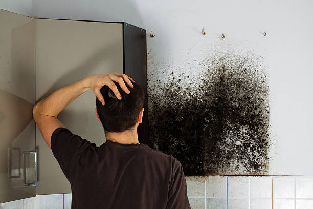 Best Mold Testing  in Wortham, TX